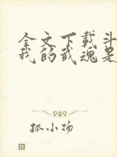 全文下载斗罗之我的武魂是魂环