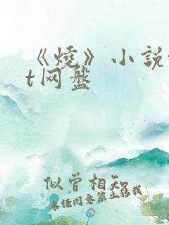 《烧》小说txt网盘