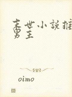 末世小说推荐双男主