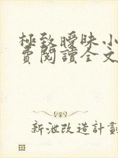 极致暧昧小说免费阅读全文小说主人公