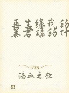 再生缘我的温柔暴君讲的什么故事