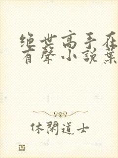 绝世高手在都市有声小说叶寻免费听