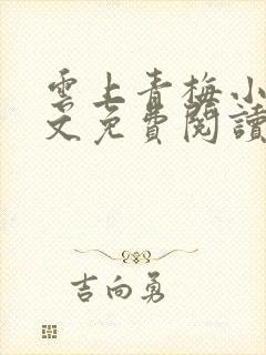 云上青梅小说全文免费阅读无弹窗