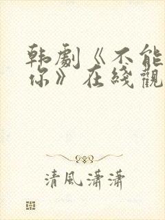 韩剧《不能没有你》在线观看