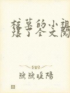 校草的小祖宗甜爆了全文阅读