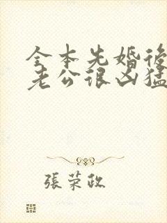 全本先婚后爱:老公很凶猛