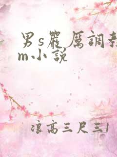 男s严厉调教女m小说