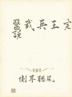 医武兵王完整小说
