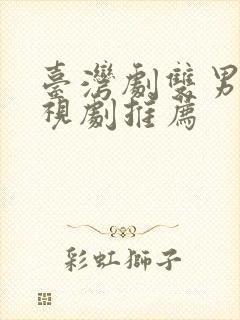 台湾剧双男主电视剧推荐