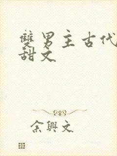 双男主古代生子甜文