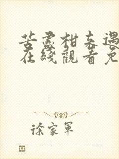 苦尽柑来遇见你在线观看免费完整版中文