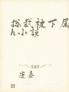 总裁被下属调教h小说