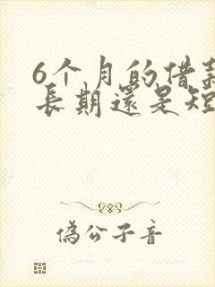 6个月的借款是长期还是短期