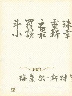 斗罗之灵珠神剑小说最新章节列表最