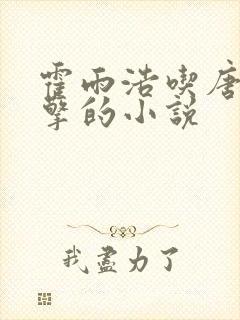 霍雨浩吃唐三巨擎的小说