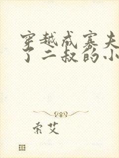 穿越成寡夫郎娶了二叔的小说