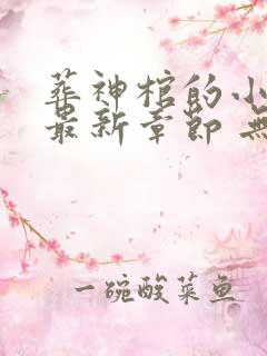 葬神棺的小说 最新章节 无弹窗