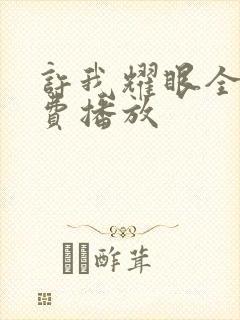 许我耀眼全集免费播放