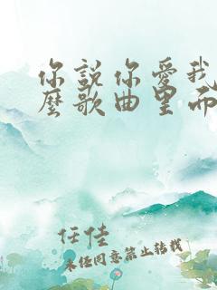 你说你爱我是什么歌曲里面的歌词