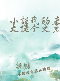 小说我的老公是大佬全文免费阅读