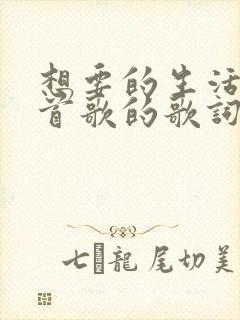 想要的生活是哪首歌的歌词