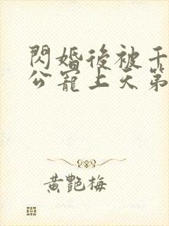 闪婚后被千亿老公宠上天第100集