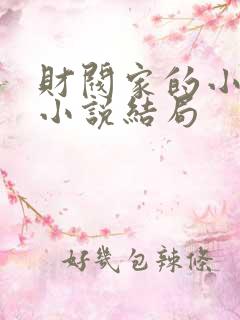 财阀家的小儿子小说结局