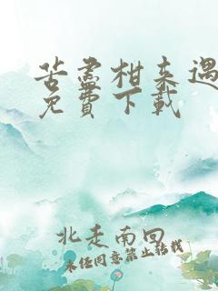 苦尽柑来遇见你免费下载