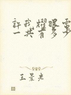 许我耀眼电视剧一共有多少集