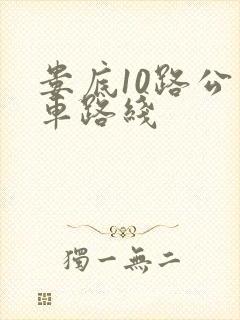 娄底10路公交车路线