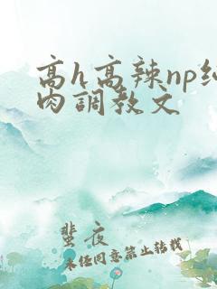 高h高辣np纯肉调教文