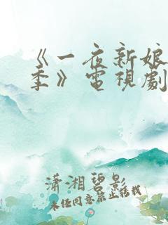 《一夜新娘第二季》电视剧