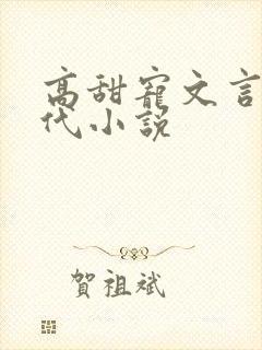 高甜宠文言情现代小说