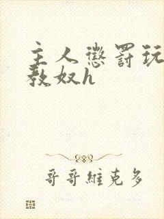 主人惩罚玩弄调教奴h