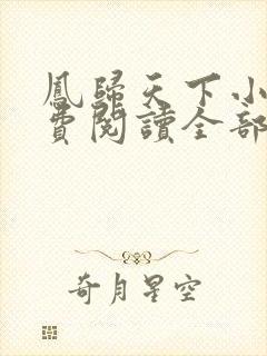 凤归天下小说免费阅读全部章节