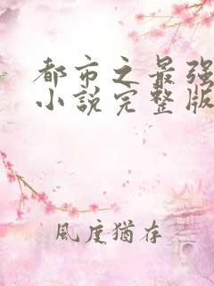 都市之最强狂兵小说完整版本