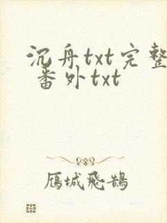 沉舟txt完整 番外txt
