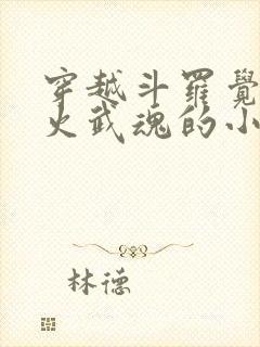 穿越斗罗觉醒异火武魂的小说