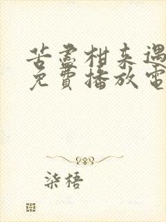 苦尽柑来遇见你免费播放电视剧