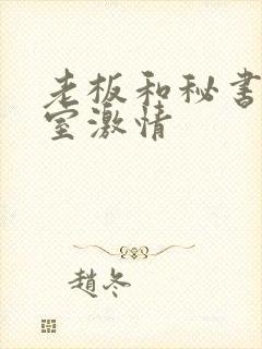 老板和秘书办公室激情