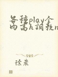 各种play全肉高h调教np