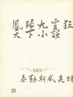 凤归九霄狂妃逆天下小说