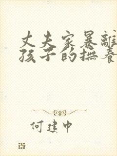 丈夫家暴离婚后孩子的抚养权归谁