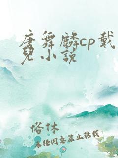 唐舞麟cp戴云儿小说