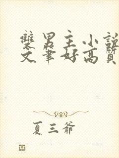 双男主小说推荐文笔好高质量