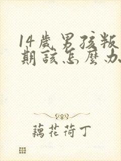 14岁男孩叛逆期该怎么办