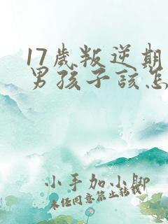 17岁叛逆期的男孩子该怎样去沟通教育