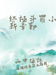 终极斗罗小说最新章节