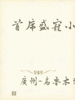 首席盛宠小萌妻