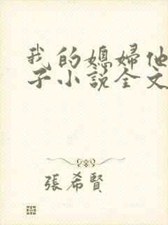 我的媳妇他的妻子小说全文阅读